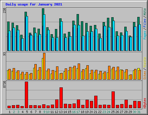 Daily usage for January 2021