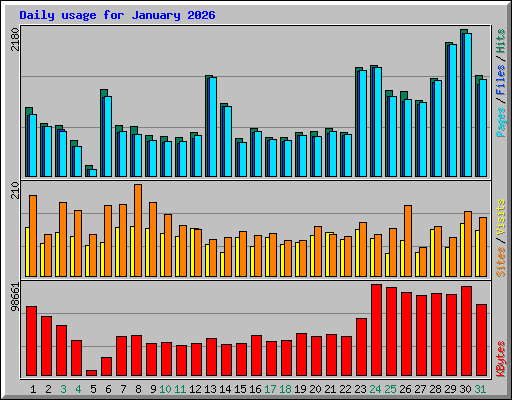 Daily usage for January 2026