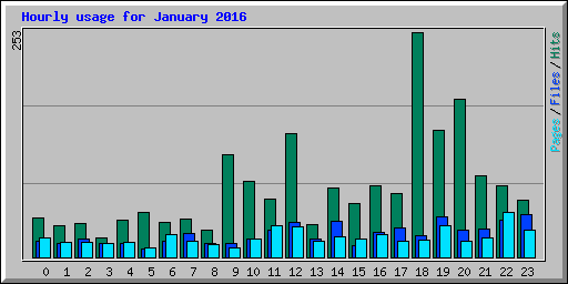 Hourly usage for January 2016