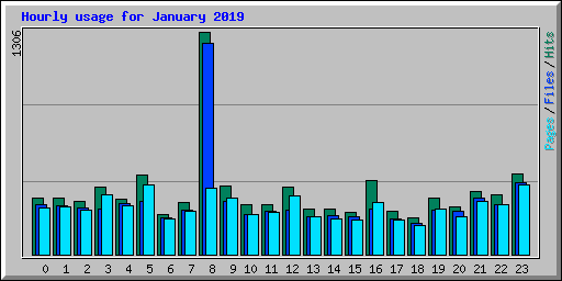 Hourly usage for January 2019