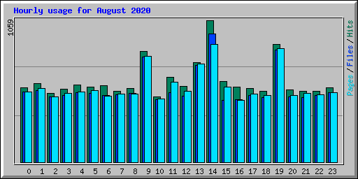 Hourly usage for August 2020