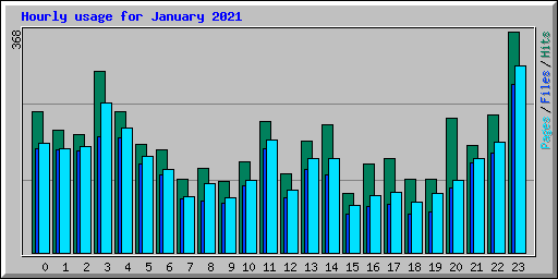 Hourly usage for January 2021