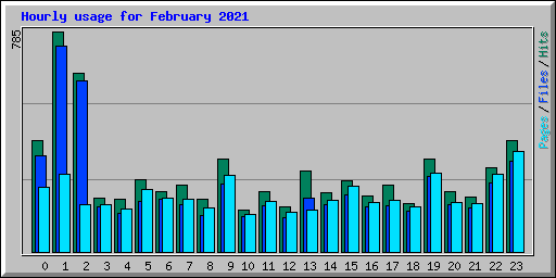 Hourly usage for February 2021