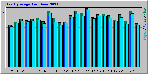 Hourly usage for June 2021