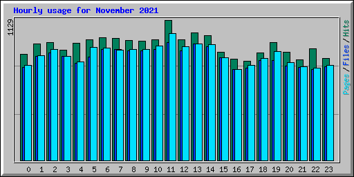 Hourly usage for November 2021