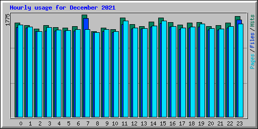 Hourly usage for December 2021