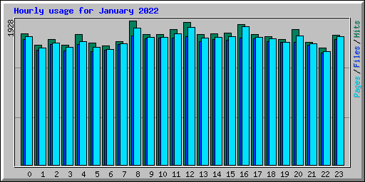 Hourly usage for January 2022