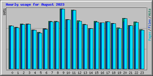 Hourly usage for August 2023