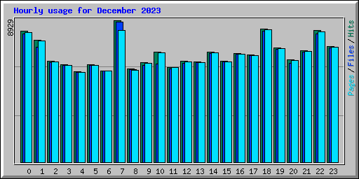 Hourly usage for December 2023