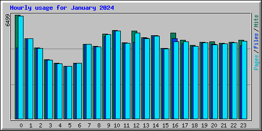 Hourly usage for January 2024