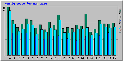 Hourly usage for May 2024