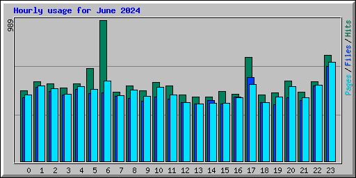 Hourly usage for June 2024