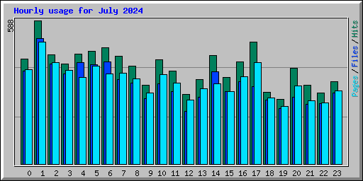 Hourly usage for July 2024