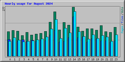 Hourly usage for August 2024