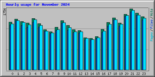 Hourly usage for November 2024