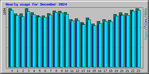 Hourly usage for December 2024
