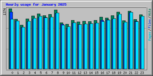 Hourly usage for January 2025