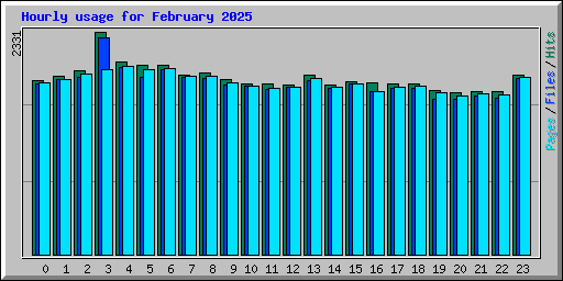 Hourly usage for February 2025