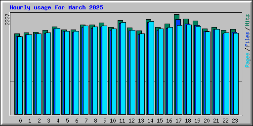 Hourly usage for March 2025