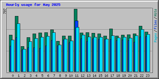 Hourly usage for May 2025