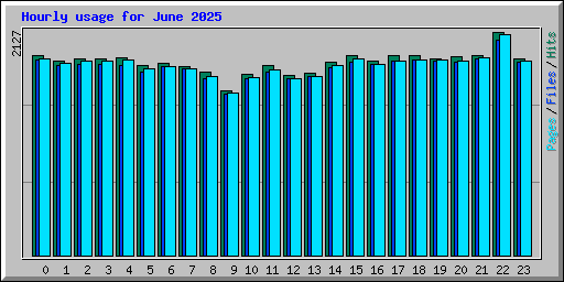 Hourly usage for June 2025
