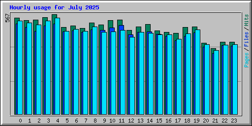 Hourly usage for July 2025