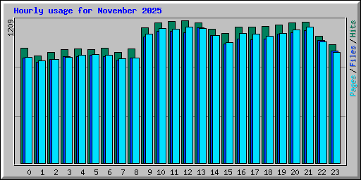 Hourly usage for November 2025