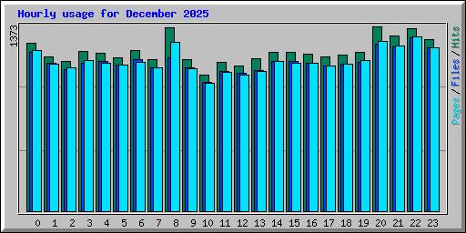 Hourly usage for December 2025