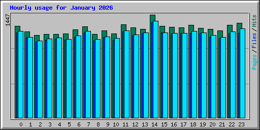 Hourly usage for January 2026