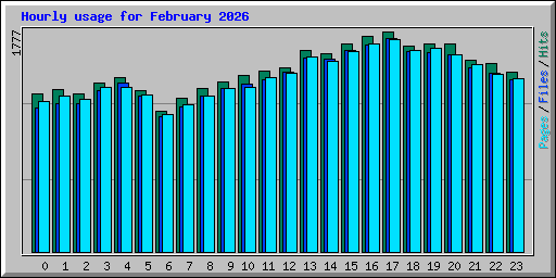 Hourly usage for February 2026